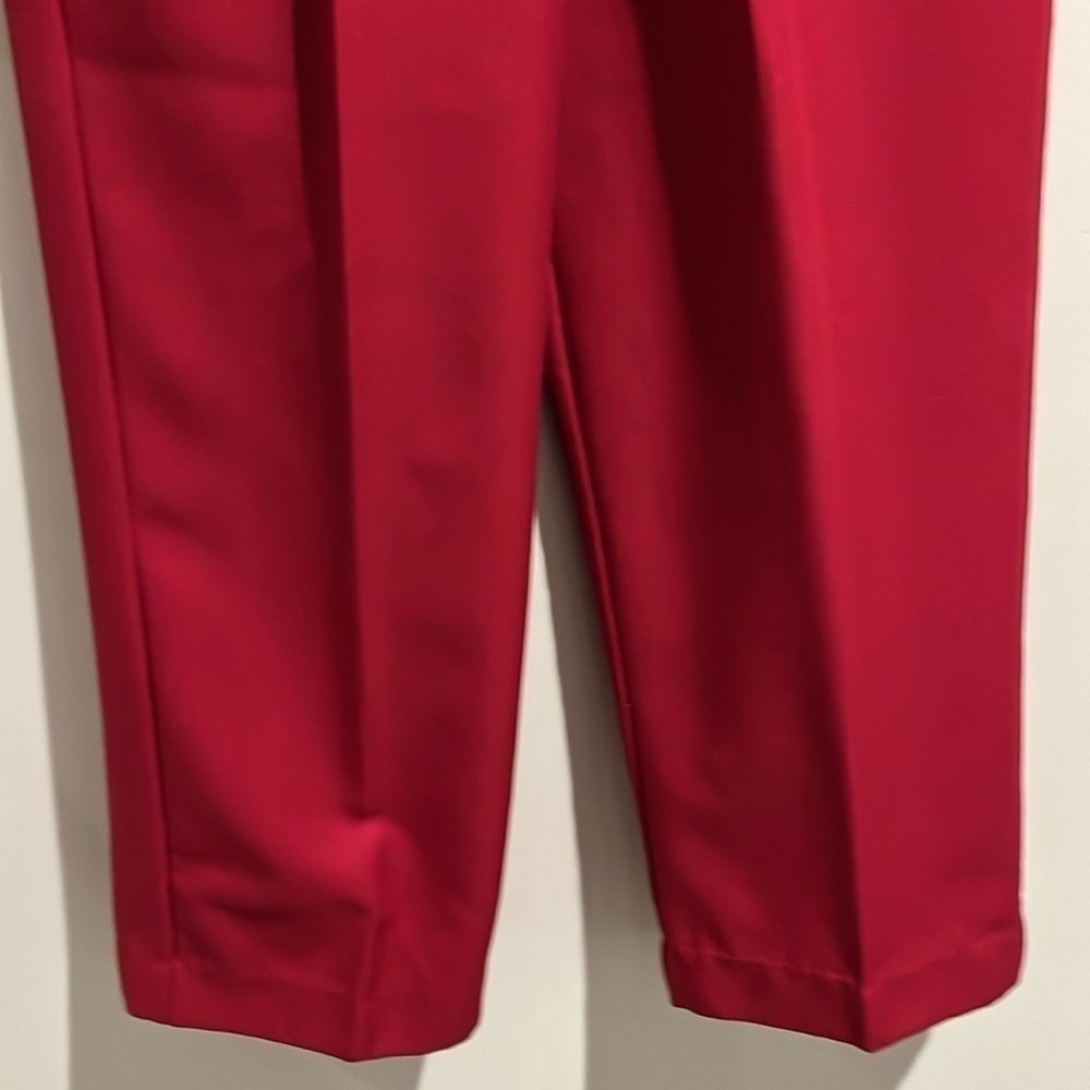 Alfred Dunner red pants. Size 10. Side pockets. Elastic waist. - Picture 3 of 5